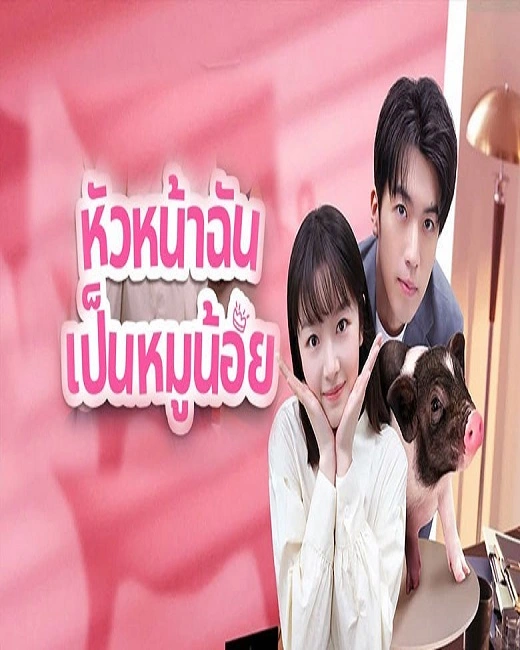 My Piggy Boss (2024) หัวหน้าฉันเป็นหมูน้อย ซับไทย (จบ)