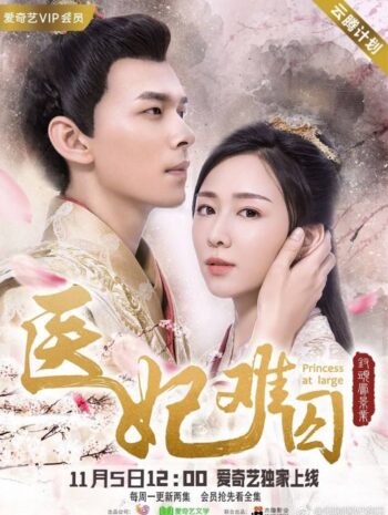 ซีรี่ย์จีน Princess At Large 2018 พระชายาลอยนวล ซับไทย EP1-12 (จบ)