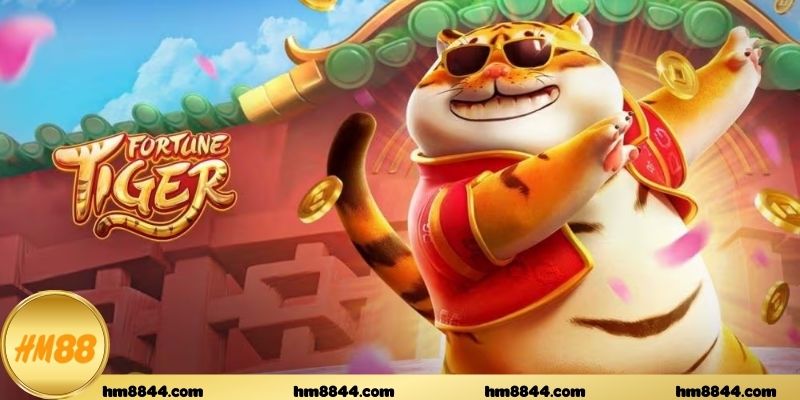 Cách Fortune Tiger X được xây dựng trên nền tảng hiện đại