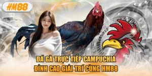 Đá gà trực tiếp campuchia - Đỉnh cao giải trí cùng HM88
