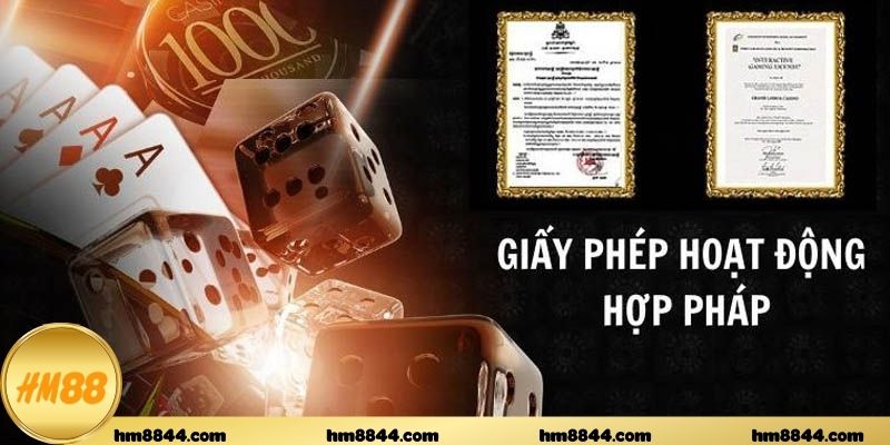 Điều kiện Giấy phép hoạt động