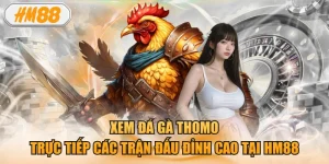 Xem đá gà thomo: Trực tiếp các trận đấu đỉnh cao tại HM88